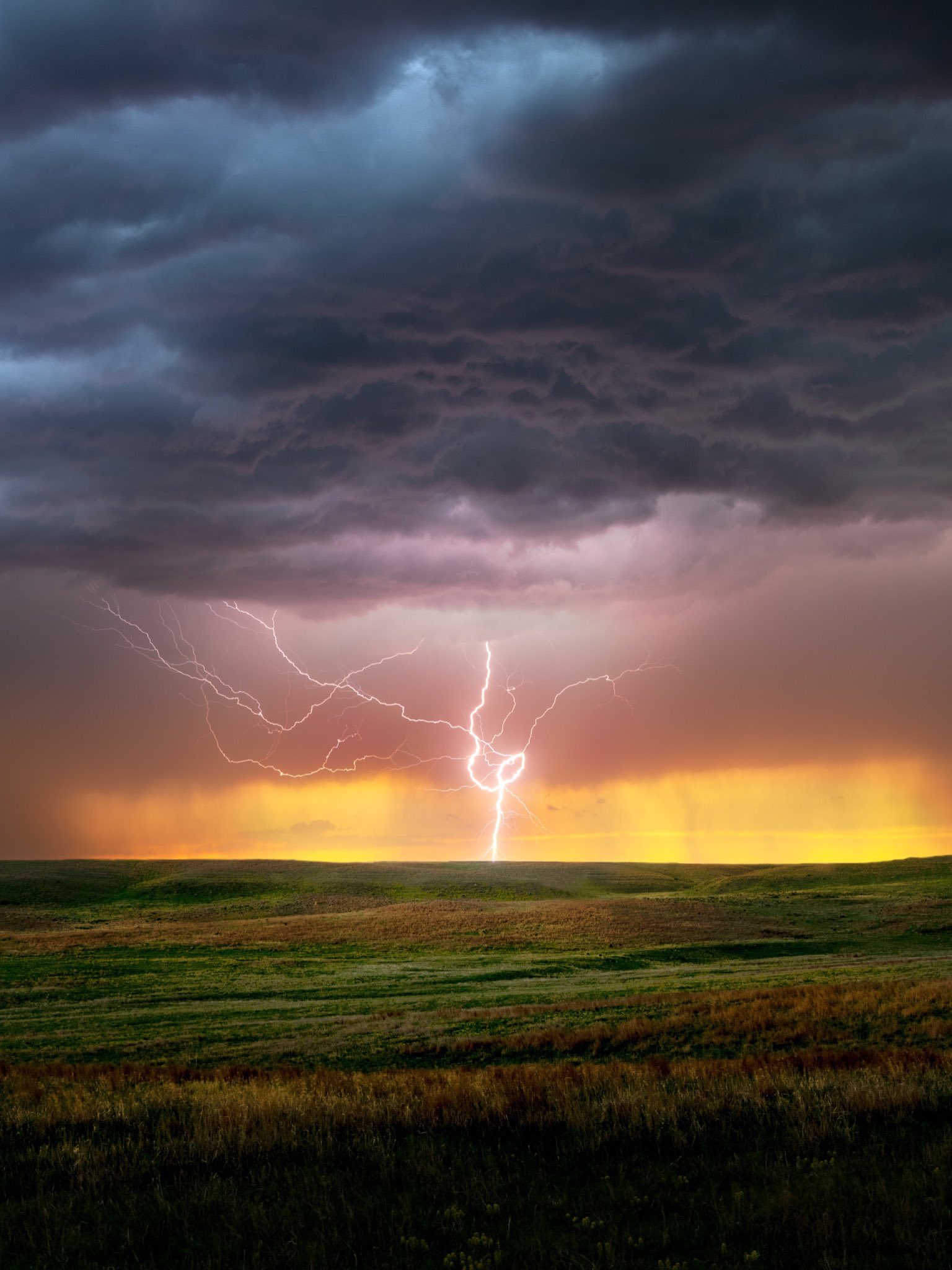 雨水真的有味道吗?为什么我们能闻到雨水的味道呢? 答案很有趣!