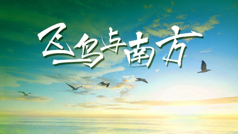黄广乐新歌《飞鸟与南方》：唱给人生中的每一段旅途
