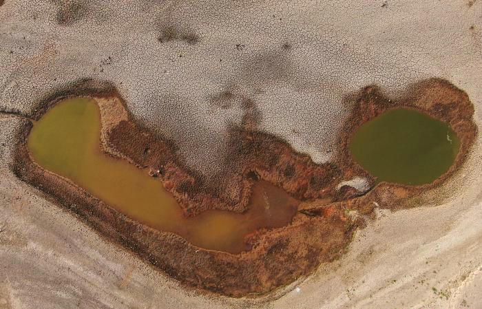 鄱阳湖|鄱阳湖水位下降, 水面可见米级翘嘴, 试问路亚爱好者, 敢钓不敢钓？