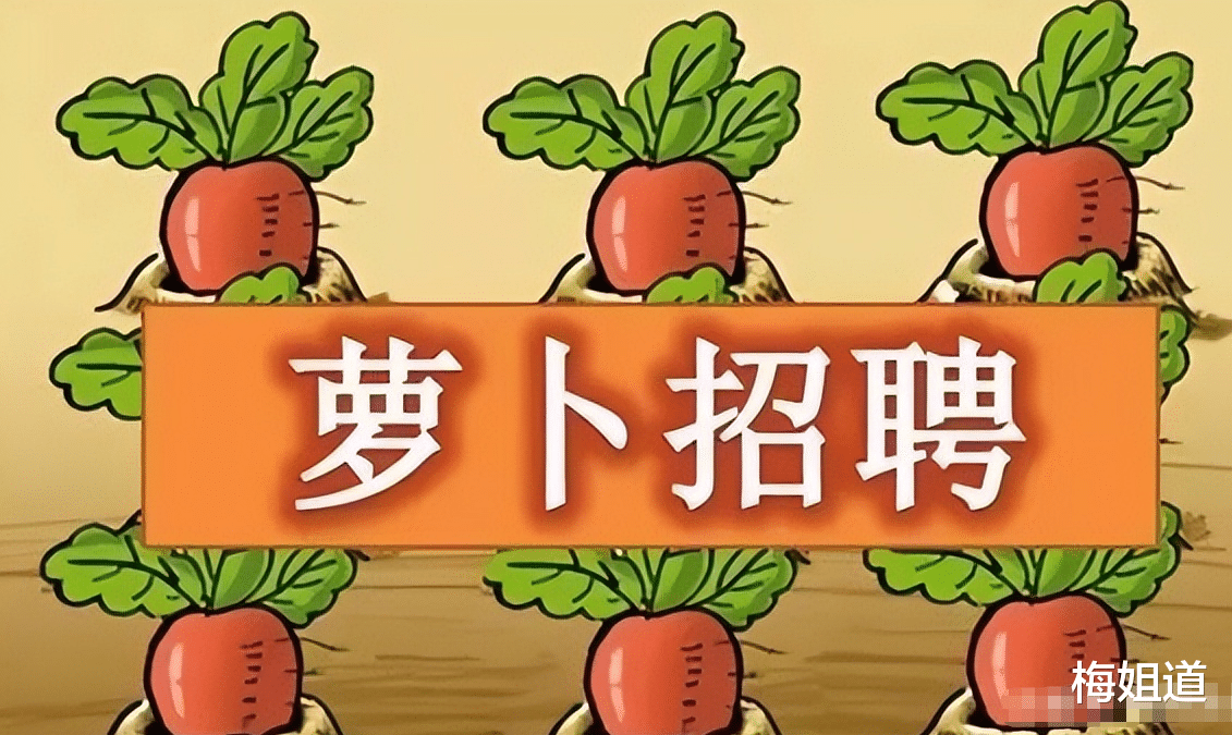 电工|事业考试3.17分后续,据爆料孙某为气象局员工,这是所谓的萝卜坑
