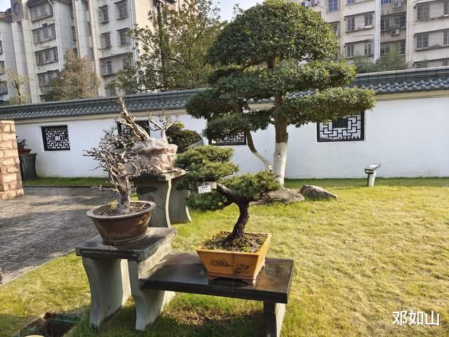 关系的原理和原理的关系