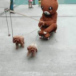 张庭|张庭林瑞阳现身机场一路小跑,落魄到像“逃难”,儿子早已拉黑其联系方式