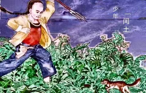 小时候的文章《少年闰土》中的刺猹到底是什么动物呢?