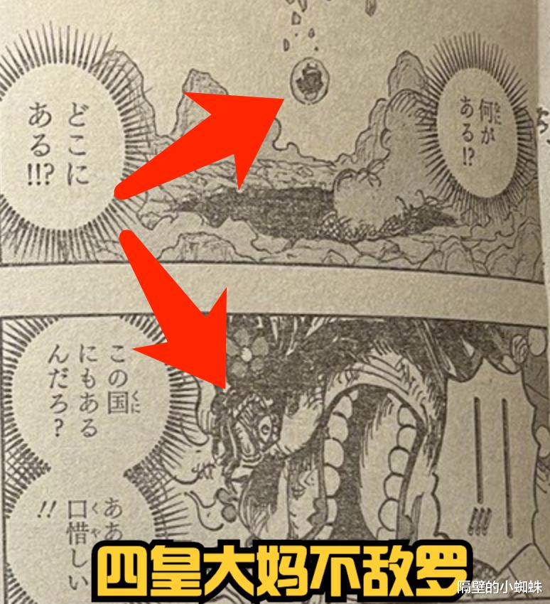 海贼王|海贼王1040话，德岛篇才过去两个月，罗就能击败四皇，明哥：谢谢