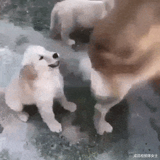 孙悟空|“据说只有吕布和孙悟空佩戴了凤翅紫金冠？”可能是因为其他人没版权