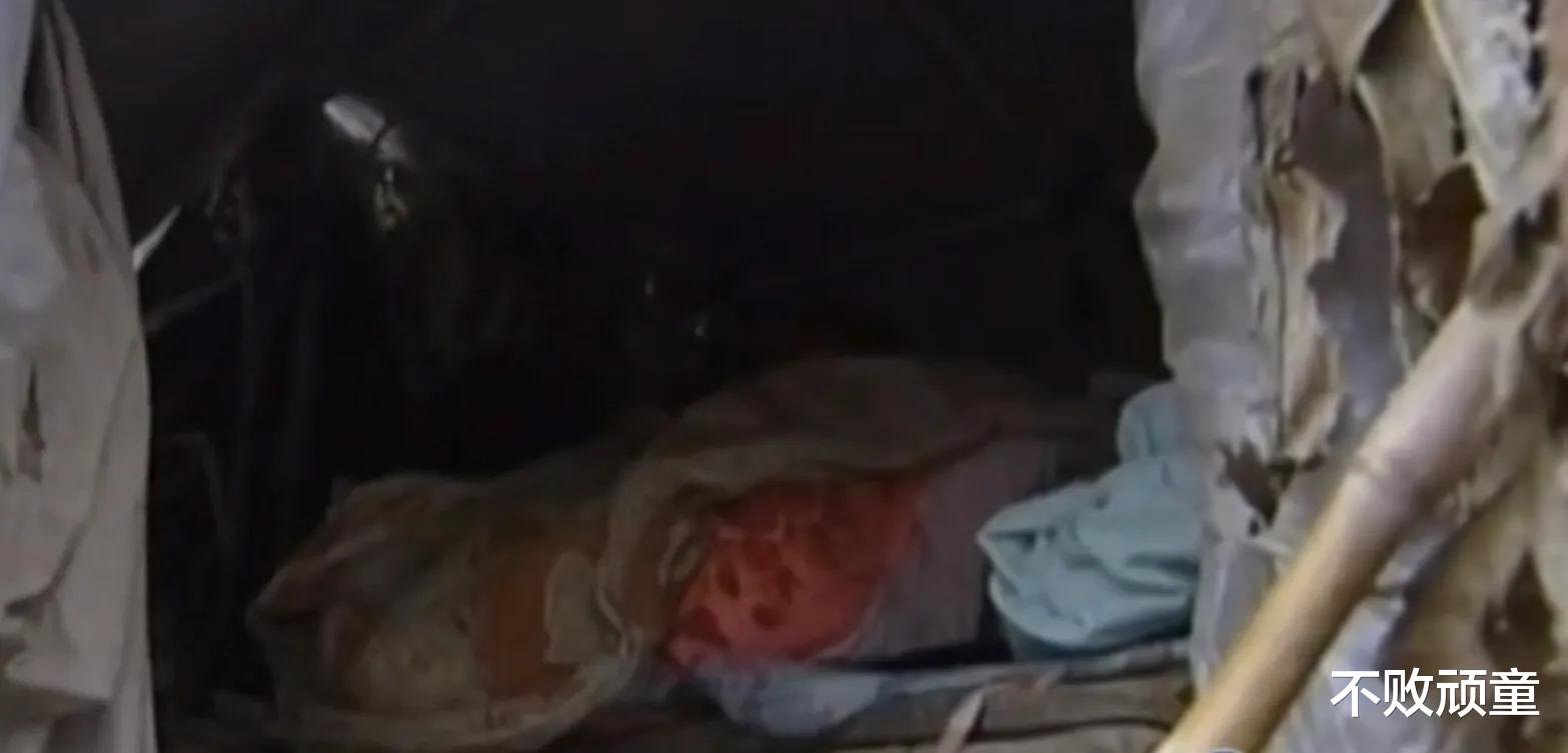 13岁苦命孤儿蜗居狗窝,姑姑却住旁边别墅,邻居:她看中的是钱