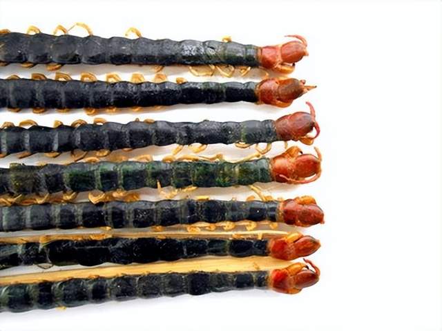 蜈蚣|分享抗癌常用中药——蜈蚣，以毒攻毒！组方可用于多种肿瘤