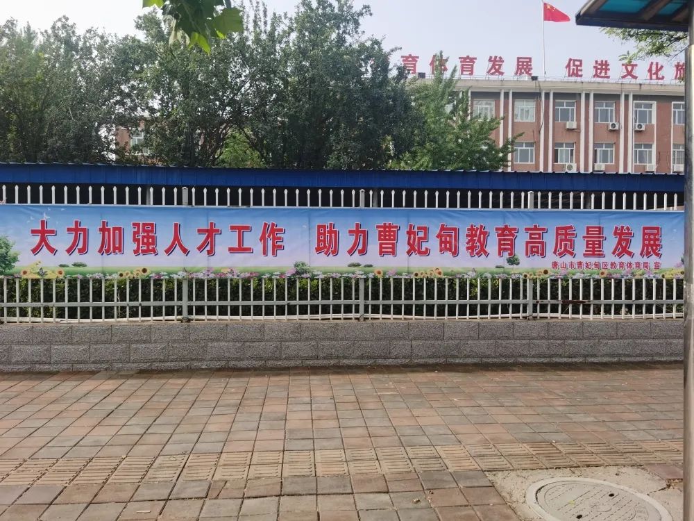 玫瑰之战|曹妃甸教育系统人才工作扎实推进、成效明显