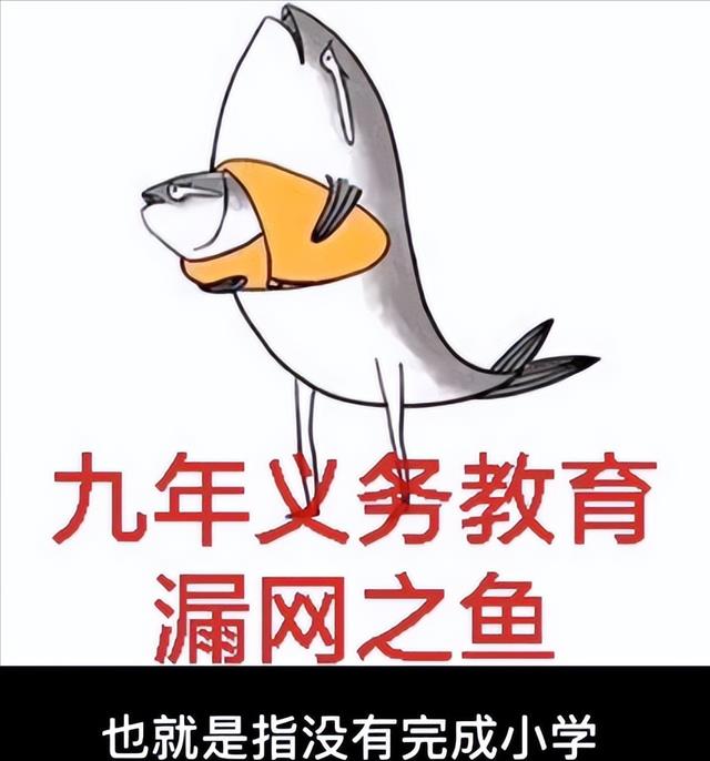 江西一女孩公园内被多人殴打,扯头发,行凶者多次猛踢其下身纪实