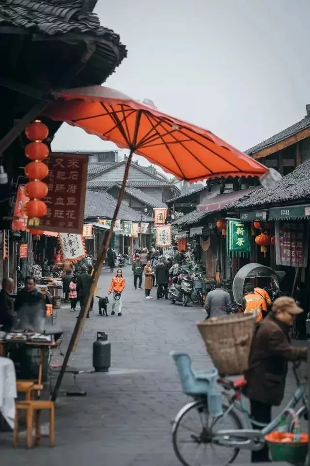小姐姐|川版“小林芝”，成都驱车1h直达，无需门票！顺便打卡历史古镇~