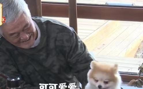 明星|赵本山近照片场逗狗,因女儿球球事情面色憔悴?被太阳晒得脸通红
