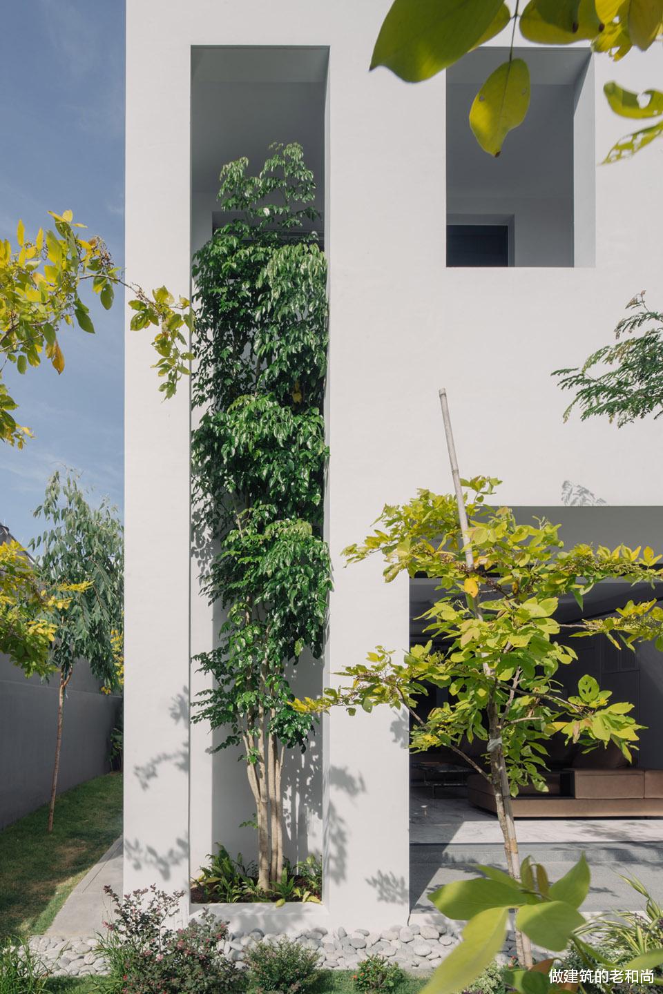 客厅|双层表皮下的住宅：将大自然带入室内空间，尽享大自然的气息