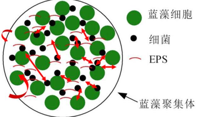 全世界都担心“黄石火山”复活,若爆发,人类还能生存吗?