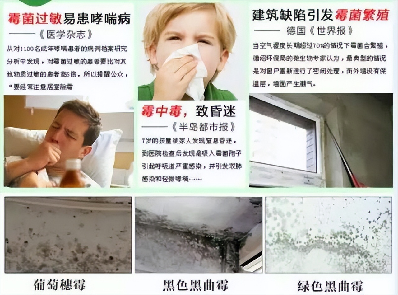 夏天一到，家里墙面霉菌“疯狂”生长？教你小妙招，霉斑自动消失