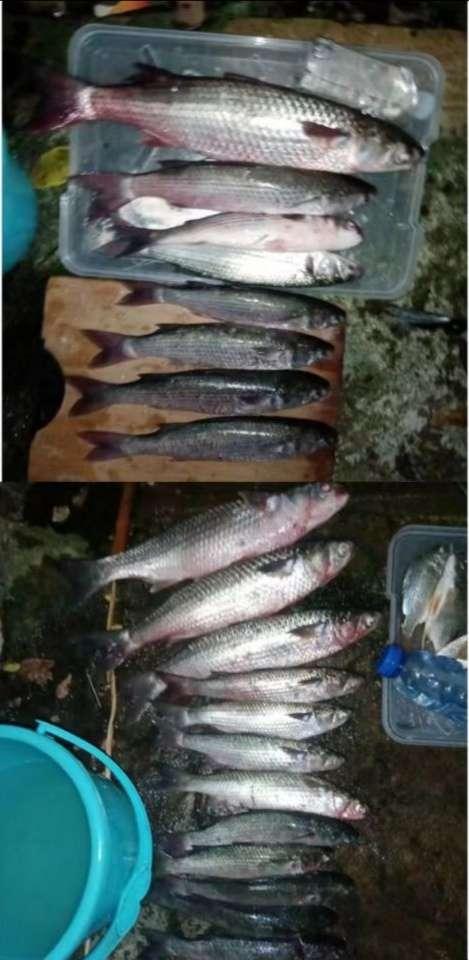 |【作钓报告】2022钓鱼之路已走完,2023开拓新的天地解锁新鱼种