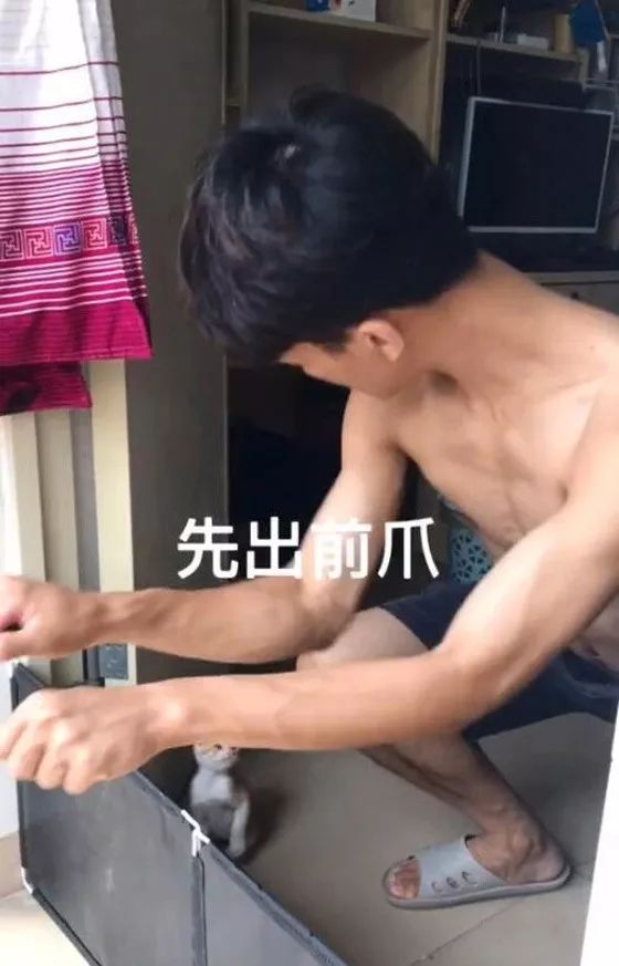 为教育小猫不乱撕纸，主人一边撕一边扇自己…猫都看傻眼了：对自己挺狠啊