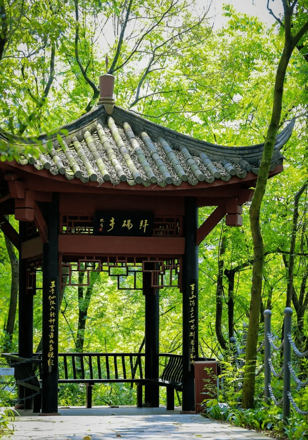 周边游|“凉”心推荐！坐拥“天然空调房”，彭祖山避暑纳凉好去处！