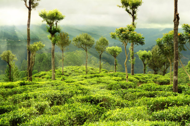 野生动物|世界尽头最近的小城市莫斯卡