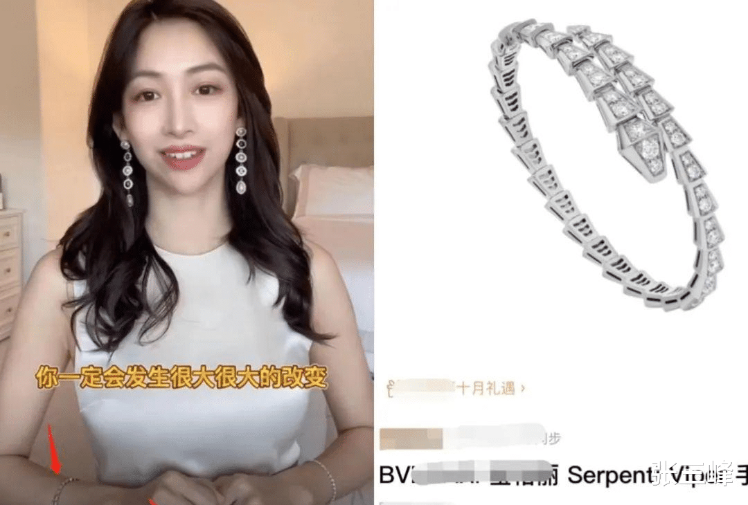 主持人|国内赚钱国外花，这8位知名主持人移居国外，生活奢侈生外籍孩子