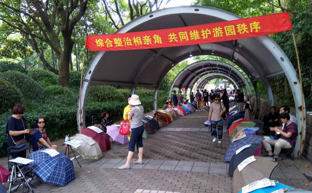 老年人相亲成内娱顶流:论搞对象,你大爷还是你大爷