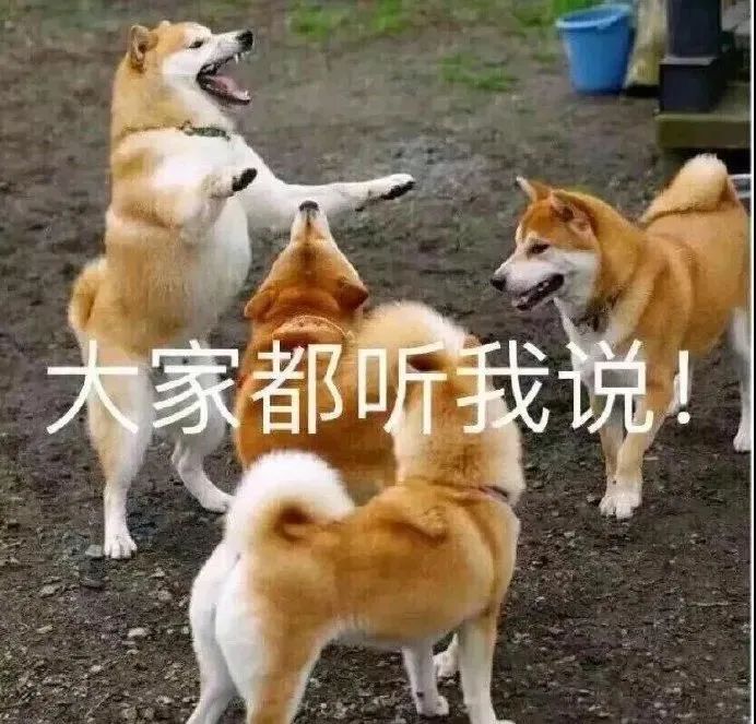 马圭尔|马圭尔这么努力了，你们怎么还要给他寄炸弹啊？