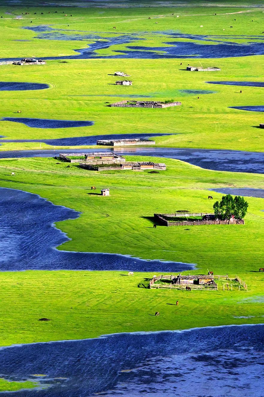 |一天体验春夏秋冬，中国最“卷”的地方在哪里？