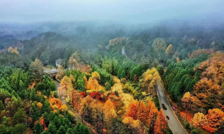 灵山|宁波自驾游攻略,不可错过的沿途六大美景,让你开启一场赏秋之旅