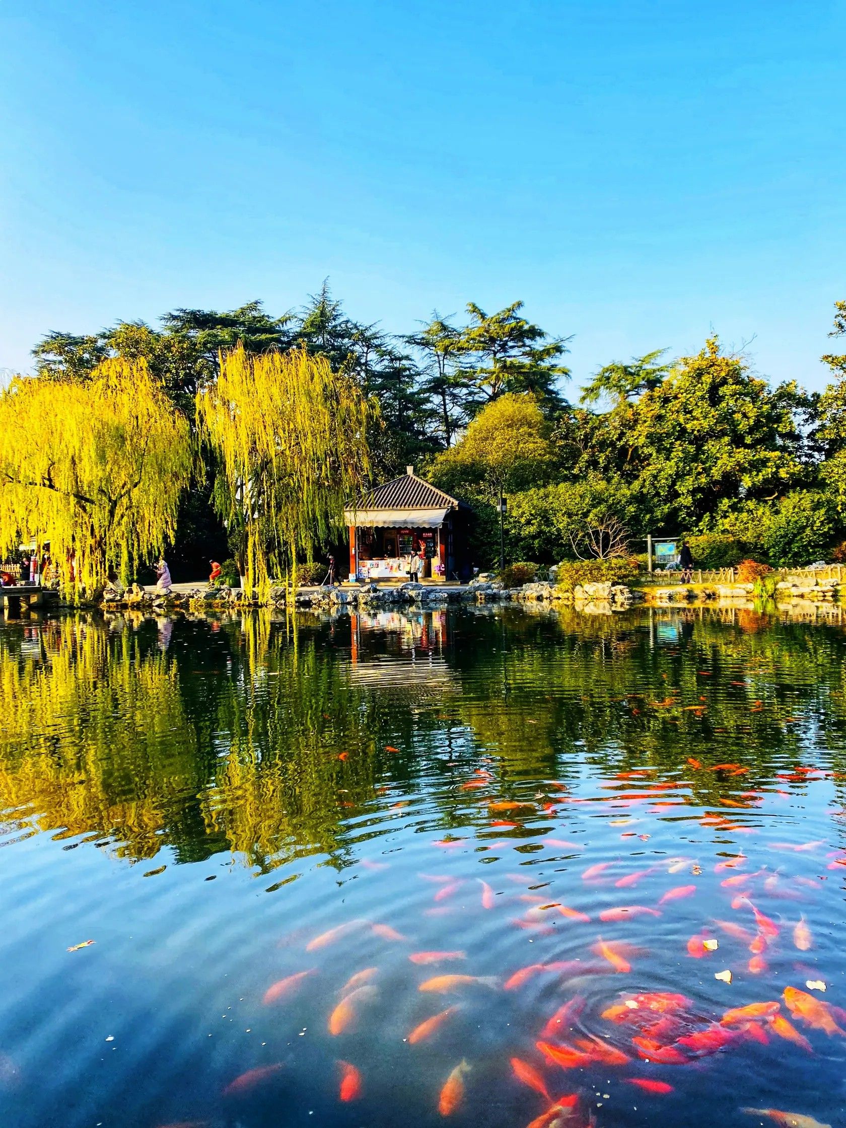 |“西湖十景”你知道多少？每个景点都体现了自然和人文的融合