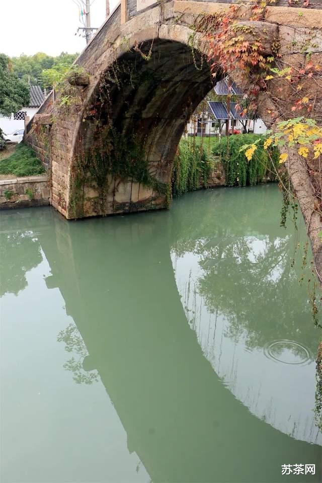 杭州|枫桥路的红枫渐入佳境,道前街的银杏黄到鼎盛,去去去!