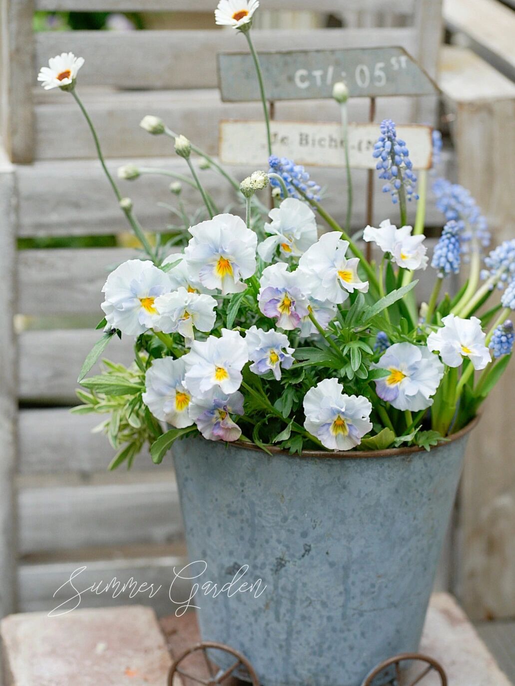 20㎡一楼小院,DIY打造杂货花园,倒腾了一年时间,如今又仙又美