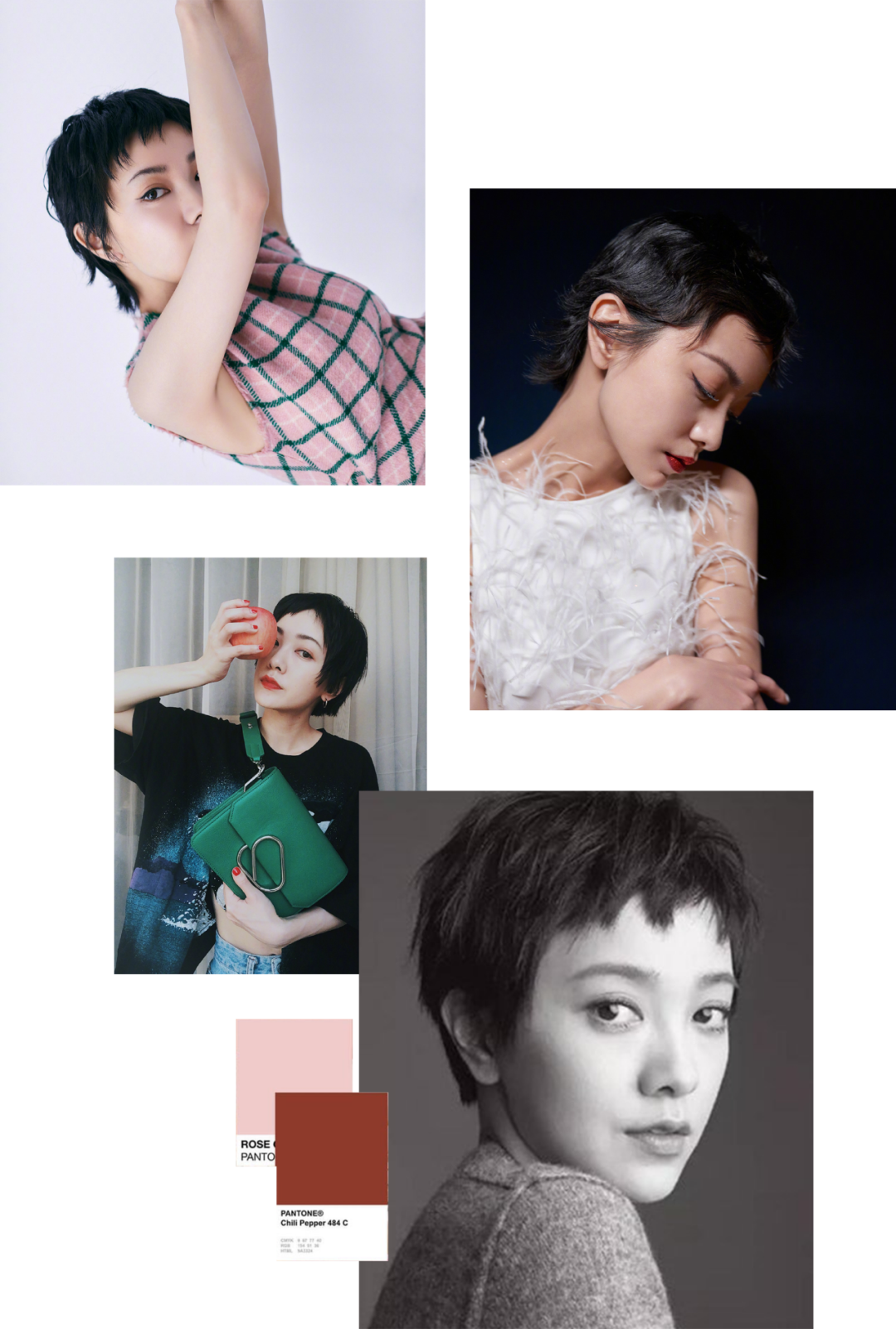 医生 郭采洁,求你退出《浪姐3》吧!