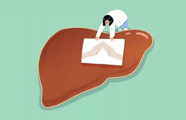 b超|检查肝脏，B超和CT哪个更好？