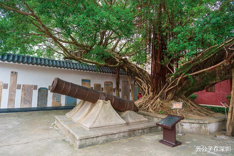 |35岁打拼的你,最理想的状态是什么