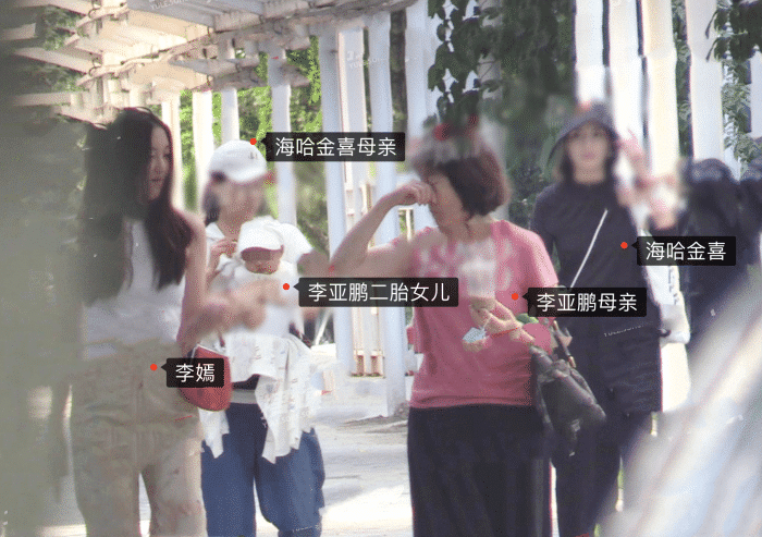 李亚鹏|李亚鹏娇妻出门遛娃，海哈金喜容光焕发，半岁女儿五官秀气很健康