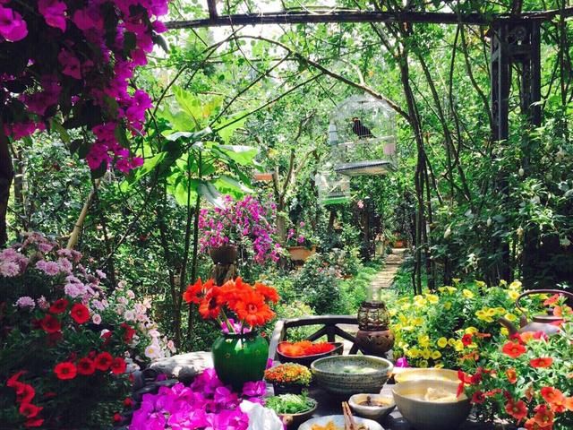 杨丽萍|63岁杨丽萍在大理的豪宅火了，网友：这生活，简直就是人间理想！