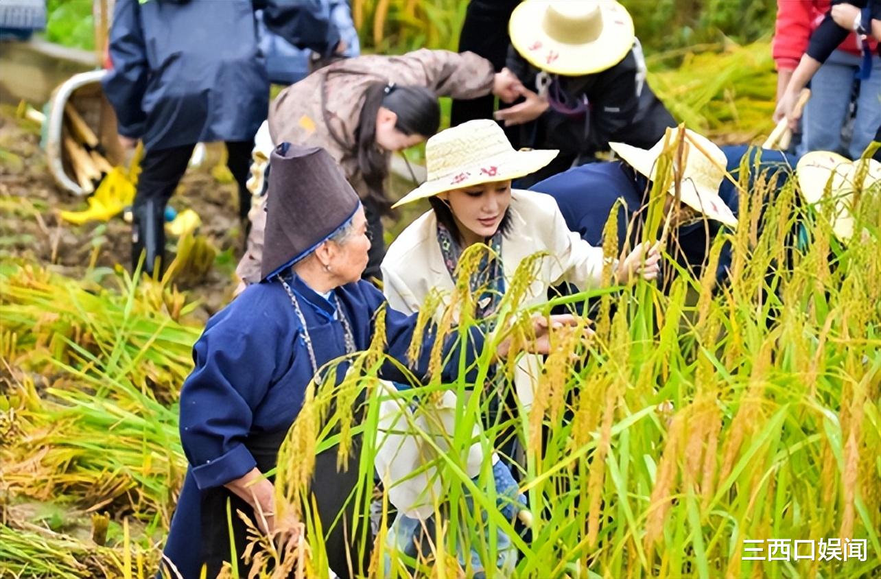赵丽颖|岳云鹏回农村，赵丽颖回农村，高圆圆回农村，谁最做作一目了然