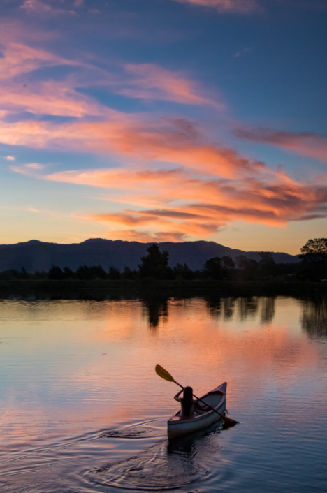华为手机|华为手机拍照不好看？新手必看指南