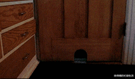 陈奕迅|陈奕迅老婆新潮装扮遭吐槽：像大街上跑出来的SJB