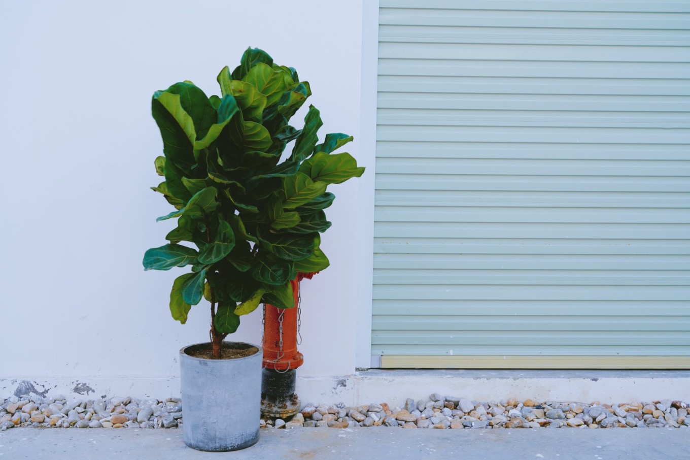 |一个人北海两日游攻略