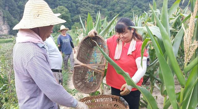 董宇辉|怼天怼地怼空气,辛巴怼董宇辉的底层逻辑是什么?