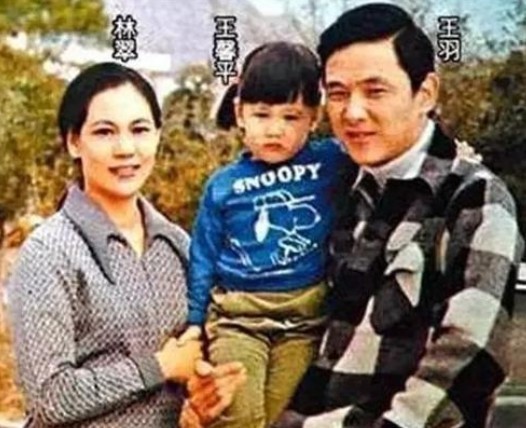 王馨平|王羽去世三天，大女儿王馨平返台隔离为父筹办后事，感谢大家的致哀