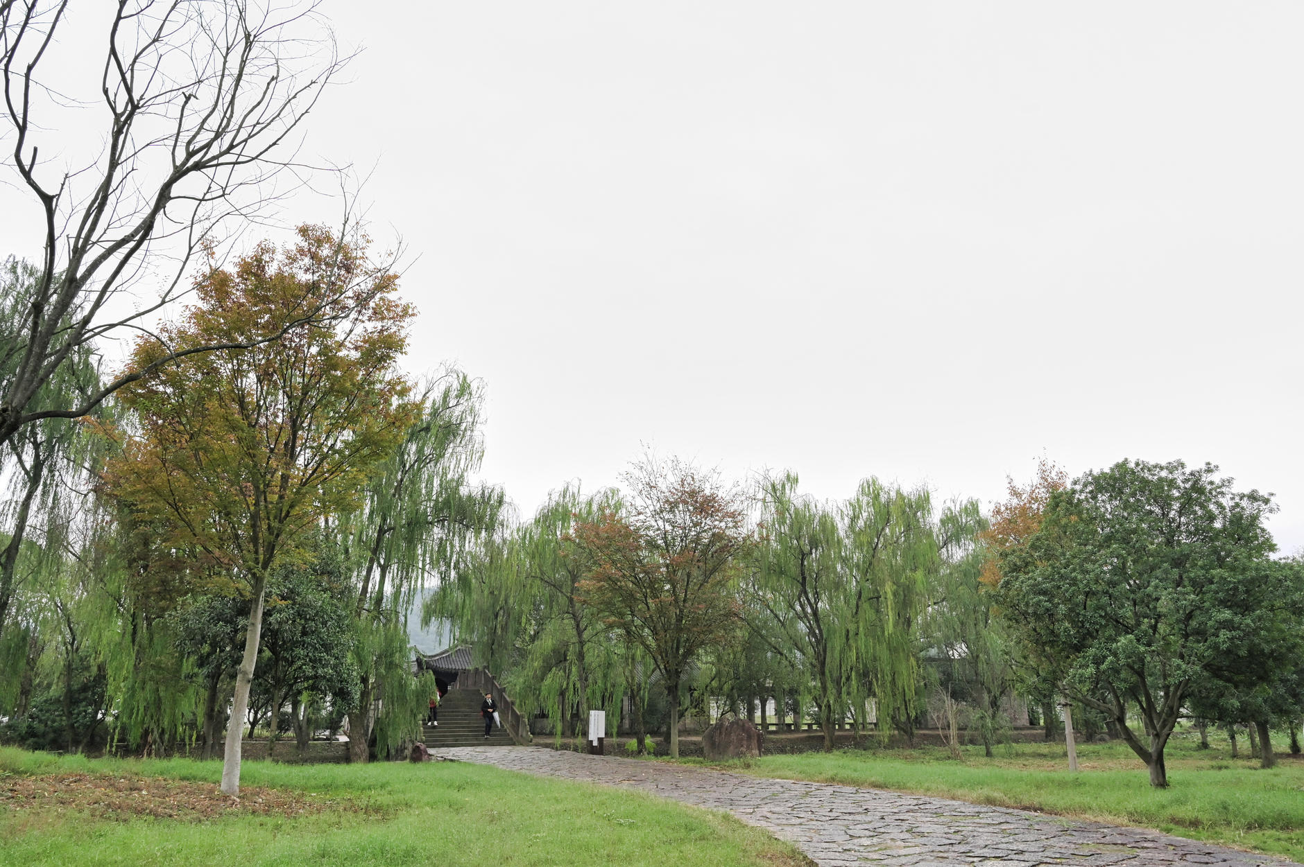 上海市|2023年的第一场旅行，带着家长玩转神仙居！