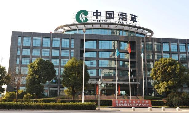 杨幂|情侣双双入职烟草公司,发出的薪资明细让人羡慕,年终奖属实可观