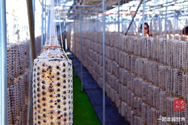 宝贝|我在甘肃旅行,发现一座宝藏小镇,里面藏着许多“宝贝”