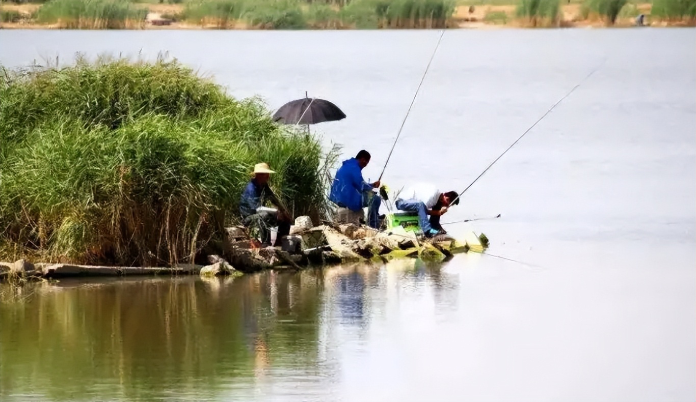 |春末夏初钓鱼变数多,掌握5个关键点,任何水面都能“爆护”