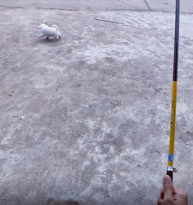 |四川男子禁渔期间想钓鱼，想出小妙招成功地过了瘾，网友直呼人才