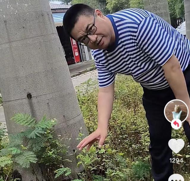 北海嘲讽某人不知羞,郭威、田静躺枪,网友:“逆子”没骂错人