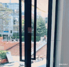 章子怡|章子怡罕下厨陪家人!素颜出镜捏饺子动作熟,汪峰寸头造型反差大