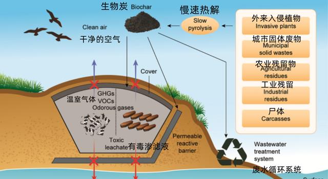 动物死后都会重归自然,为何人类要打破自然规律,选择火化呢?