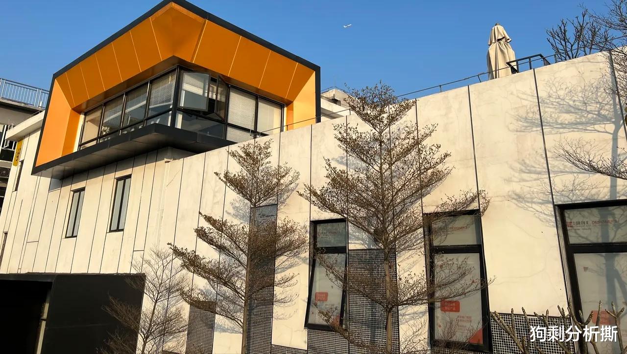 iPhone|国产机拍照已经如此强大,不要再鼓吹什么iPhone拍照真实了